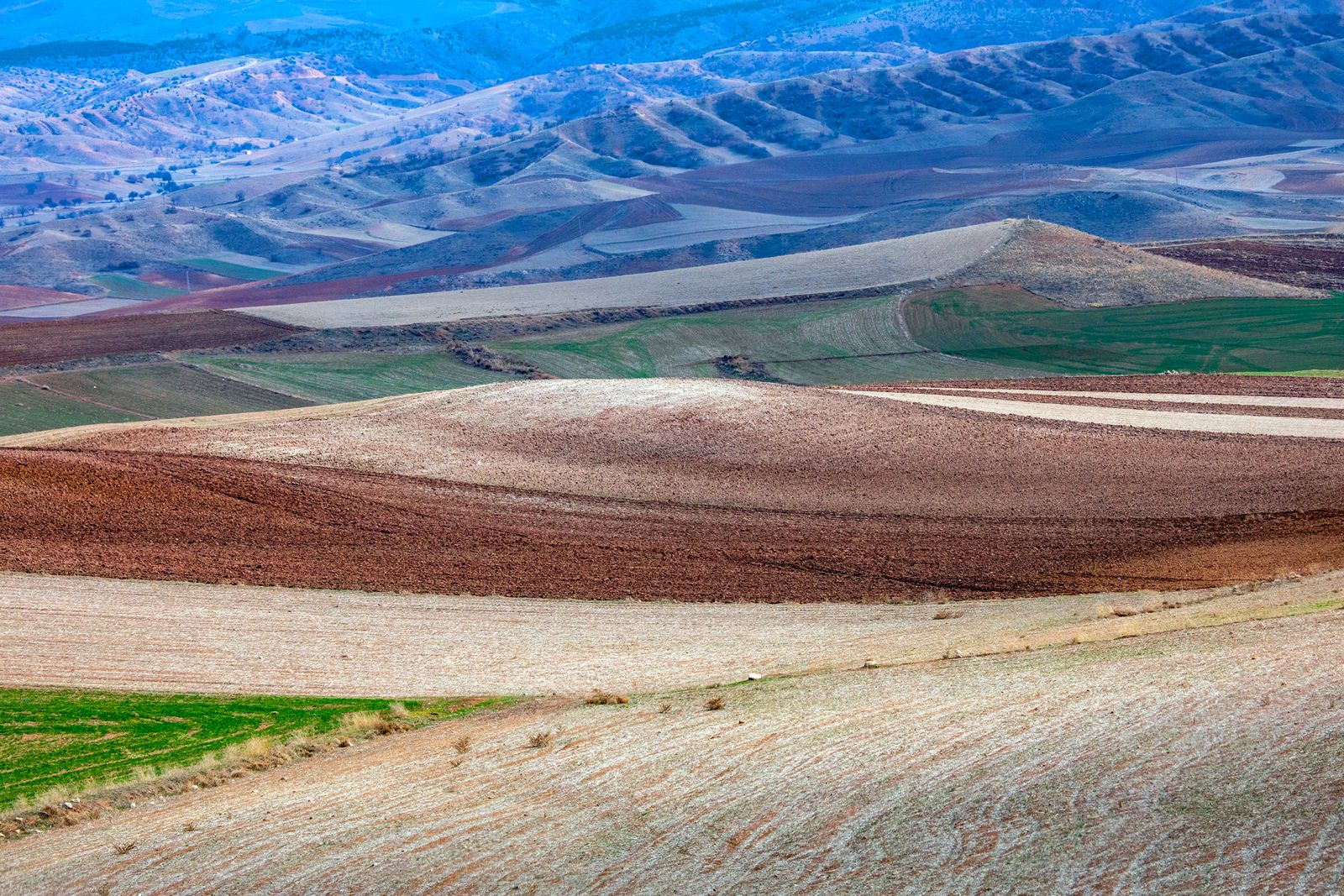Anadolu 10